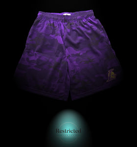 Warren Lotas Camo Shorts in Purple
